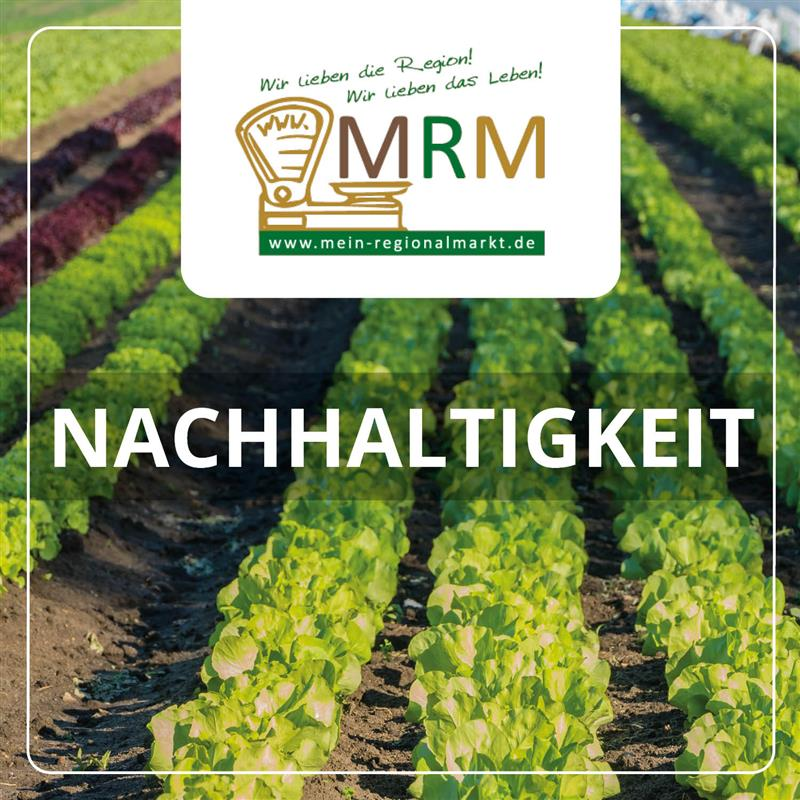 Mein-Regionalmarkt Logo, Nachhaltigkeit - Bild Salat im Feld.